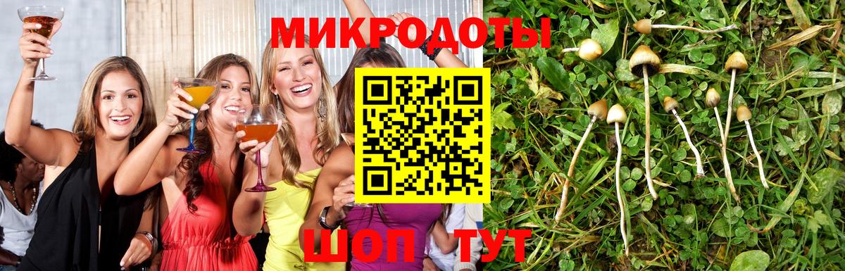 Гурьевск  Псилоцибиновые грибы MAGIC MUSHROOMS  Псилоцибиновые грибы Psilocybine cubensis  Вход с VPN 